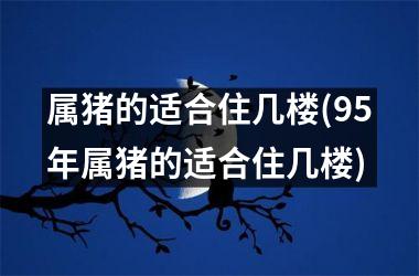 属猪的适合住几楼(95年属猪的适合住几楼)
