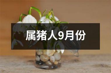<h3>属猪人9月份