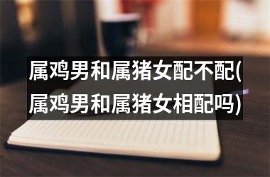 属鸡男和属猪女配不配(属鸡男和属猪女相配吗)