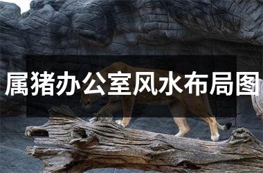 属猪办公室风水布局图