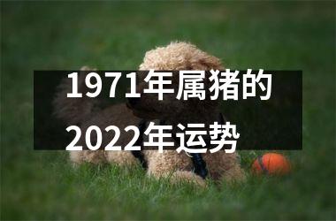 1971年属猪的2025年运势