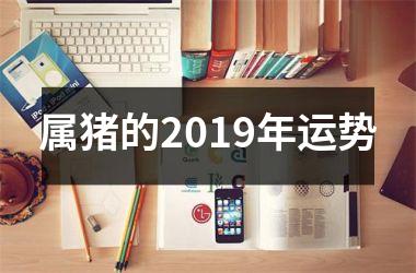 属猪的2019年运势