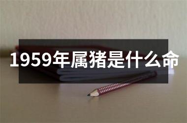 <h3>1959年属猪是什么命