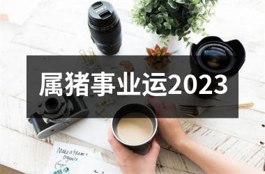 属猪事业运2025