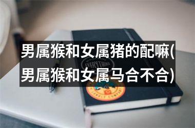 男属猴和女属猪的配嘛(男属猴和女属马合不合)