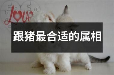 跟猪合适的属相