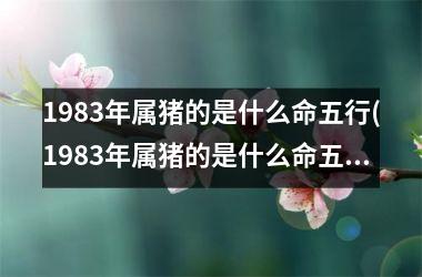 1983年属猪的是什么命五行(1983年属猪的是什么命五行属什么)