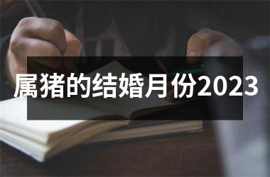 属猪的结婚月份2025