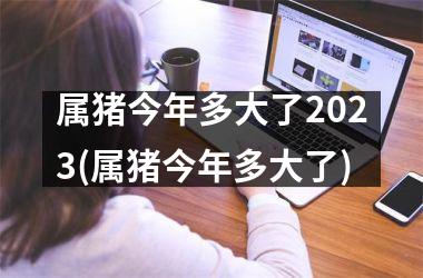 <h3>属猪今年多大了2025(属猪今年多大了)