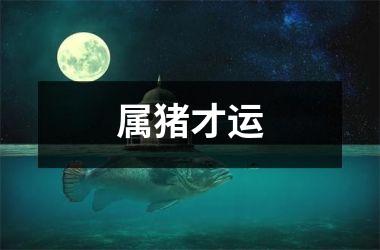 属猪才运