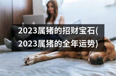 2025属猪的招财宝石(2025属猪的全年运势)