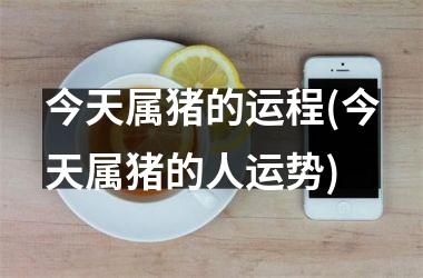 <h3>今天属猪的运程(今天属猪的人运势)