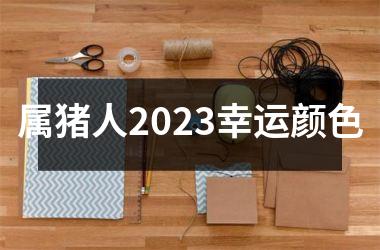 属猪人2025幸运颜色