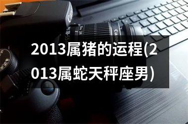 2013属猪的运程(2013属蛇天秤座男)
