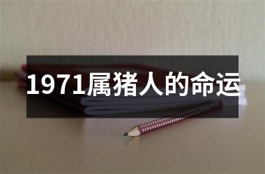 1971属猪人的命运