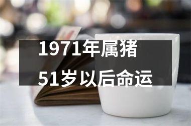 1971年属猪51岁以后命运