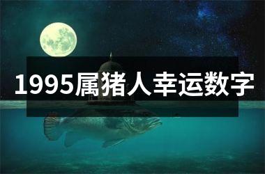 1995属猪人幸运数字
