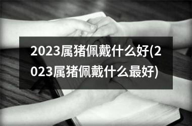 2025属猪佩戴什么好(2025属猪佩戴什么最好)