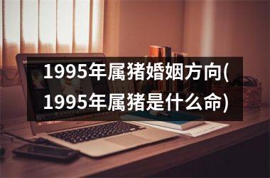 1995年属猪婚姻方向(1995年属猪是什么命)