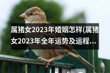 属猪女2025年婚姻怎样(属猪女2025年全年运势及运程)