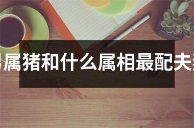 男属猪和什么属相最配夫妻