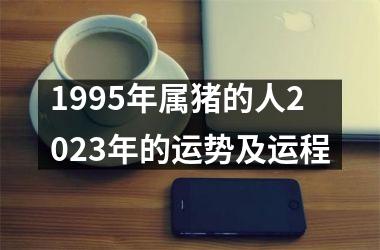 1995年属猪的人2025年的运势及运程