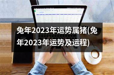 兔年2025年运势属猪(兔年2025年运势及运程)