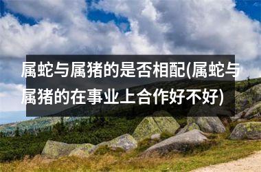 属蛇与属猪的是否相配(属蛇与属猪的在事业上合作好不好)