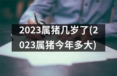 2025属猪几岁了(2025属猪今年多大)