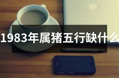 1983年属猪五行缺什么
