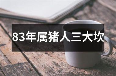 83年属猪人三大坎