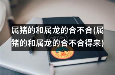 属猪的和属龙的合不合(属猪的和属龙的合不合得来)