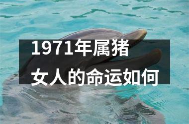 1971年属猪女人的命运如何