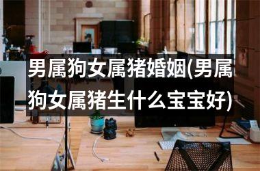 男属狗女属猪婚姻(男属狗女属猪生什么宝宝好)