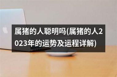 属猪的人聪明吗(属猪的人2025年的运势及运程详解)