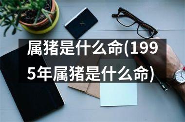 属猪是什么命(1995年属猪是什么命)