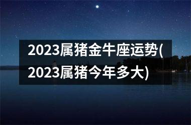 2025属猪金牛座运势(2025属猪今年多大)