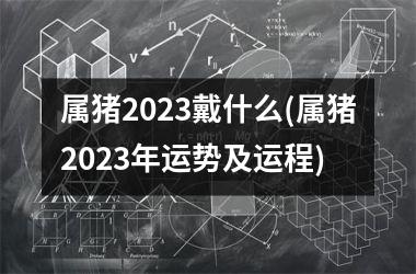 属猪2025戴什么(属猪2025年运势及运程)
