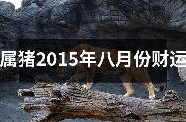 属猪2015年八月份财运