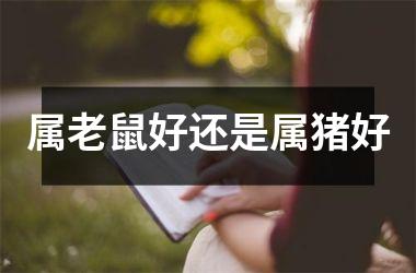 属老鼠好还是属猪好