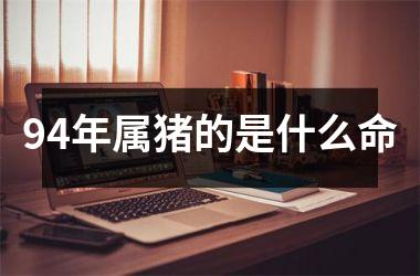 94年属猪的是什么命