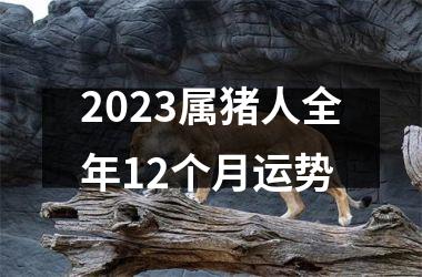 2025属猪人全年12个月运势