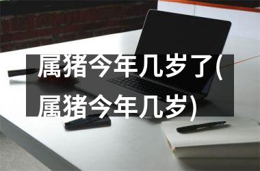 属猪今年几岁了(属猪今年几岁)