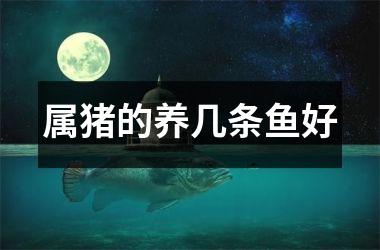 属猪的养几条鱼好