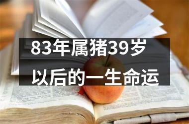 83年属猪39岁以后的一生命运