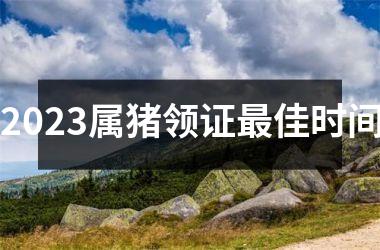 2025属猪领证最佳时间