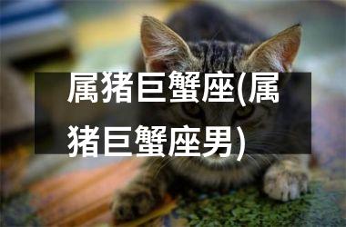 属猪巨蟹座(属猪巨蟹座男)