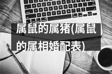 属鼠的属猪(属鼠的属相婚配表)