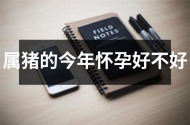 属猪的今年怀孕好不好