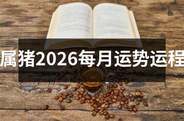 <h3>属猪2026每月运势运程